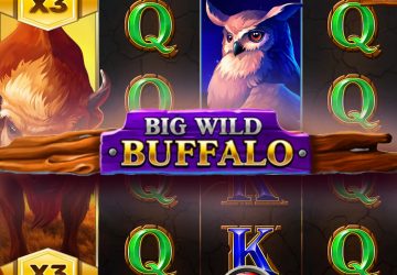 Автомат Big Wild Buffalo в казино Блиц Ред